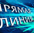 Что вы хотите спросить у Владимира Путина? - Орская Газета
