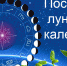 Когда сеять и сажать - Орская Газета