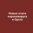 + 2 новых случая коронавируса в Орске. Это новые очаги - Ural56.Ru