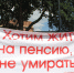 До 14 августа некоторые пенсионеры получат дополнительные выплаты - Ural56.Ru