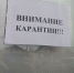 В Оренбургской области село Проскурино закрыли на карантин - Ural56.Ru