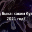 Год Быка: как правильно встретить 2021 год? - Ural56.Ru