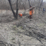 Благоустройство территории в рамках субботника image 1 - Город Орск