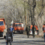 В Зауральной роще Оренбурга может появиться ландшафтный парк - Ural56.Ru
