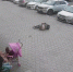 В Оренбурге мужчина по неосторожности выпал из окна 4 этажа и выжил (видео) - Ural56.Ru