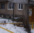 Сирень в орском дворе превратили в обрубок - Орская Газета