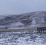 «Погода за окном наконец-то суровая»: турбаза «Кувандык 365» приступила к оснежению трассы (видео) - Ural56.Ru