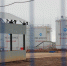 Руководителя нефтяной компании в Сорочинске оштрафовали из-за нарушений экологических требований - Ural56.Ru