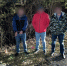 Поджигателям автомобилей на проезде Северном в Оренбурге грозит до 5 лет лишения свободы: дело поступило в суд - Ural56.Ru