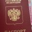 1 июня в России возобновляют выдачу биометрических загранпаспортов. Где и как их можно получить в Оренбургской области? - Ural56.Ru