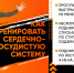 ЗОЖ без спортзала? Реально и вполне по силам каждому. Надо только захотеть - Орская Газета