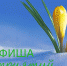 Афиша: 26 – 31 марта. Мы знаем, куда сходить в Орске - Орская Газета