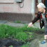 Как не утонуть в канализационных водах? - Орская хроника