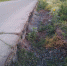 Вместо обочин теперь глубокие овраги: Дорога в поселок Ора Орска пострадала во время паводка, но не дождалась ремонта - Ural56.Ru