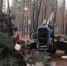 В зоне СВО появилась елка из гусеничного трака (видео) - Ural56.Ru