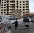 В Орске бездомные собаки напали на девушку рядом со строящейся 12-этажкой - Ural56.Ru