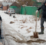 А вода и ныне там, или Почему в Казачьем трещат дома и засыхают полувековые деревья - Орская хроника