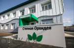 В Оренбуржье в 2025 году будет открыто шесть модельных библиотек