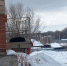 В Орске собаку, которая напала на ребенка, так и не отловили. Полиция проводит проверку - Ural56.Ru