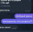 В чатах жилых домов Оренбурга мошенники стали рассылать вредоносные файлы - Ural56.Ru