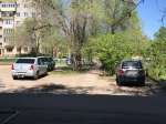 Алабай, который чуть не загрыз мальчика в Энергетике, был якобы домашним. Хозяин найден, животное погибло