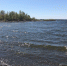 Реки Оренбургской области ведут себя спокойно. Где вода еще прибывает? - Ural56.Ru