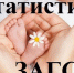 Свадьбы летом: почему орчане предпочитают этот сезон? - Орская хроника