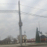 Елка в микрорайоне Южный. Фото: телеграм-канал «Южный нам нужен» - Ural56.Ru