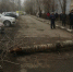 Возбуждено уголовное дело после падения дерева на прохожую - Орская хроника