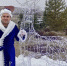 Как «сварить» елку с оленем - Орская хроника
