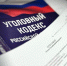 Орчанка отправится в колонию за долг в 4 миллиона рублей по алиментам - Орская хроника