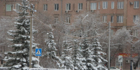 Ели после снегопада, фото из архива - Ural56.Ru
