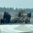 На месте ДТП - Ural56.Ru