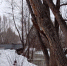 Мост через Урал, фото: администрация Новотроицка - Ural56.Ru
