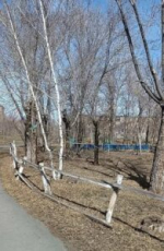 Дороги, здравоохранение и ЖКХ – проблемы, волнующие оренбуржцев