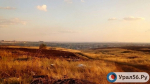 Поле в Оренбургской области. Фото из архива