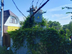 Заросший трансформатор, фото: местные жители
